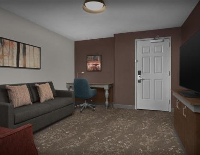 Suite Junior con sofá cama - Cama doble grande del hotel Hilton Garden Inn Westbury. Foto 4