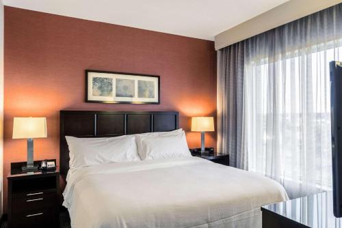Suite Premium con cama extragrande y sofá cama del hotel Embassy Suites Elizabeth Newark Airport