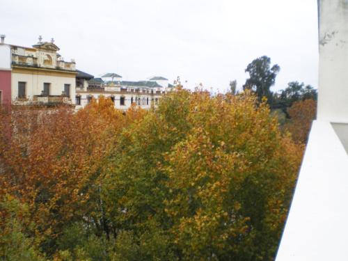 Apartamento de 1 dormitorio del hotel Murallas de Sevilla. Foto 11