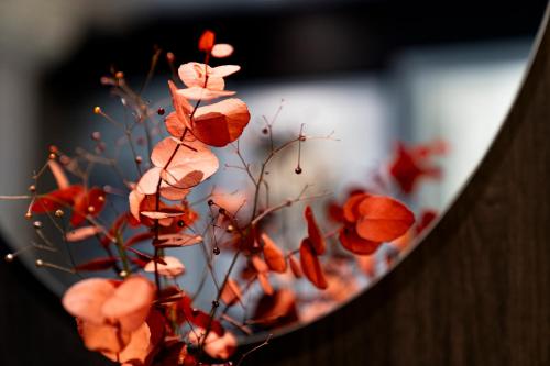 Habitación Doble Clásica del hotel de la Paix. Foto 2