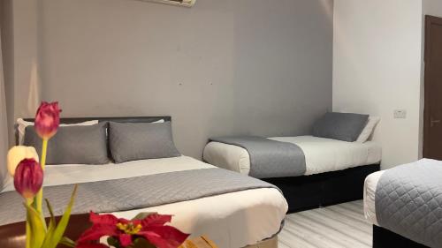 Habitación Triple Básica del hotel Pasha. Foto 5