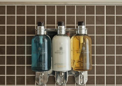 Luxury Double / Twin Room del hotel Montagu Place. Foto 1