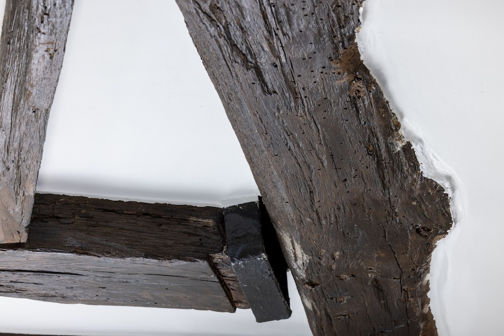 Habitación doble superior del hotel Louis Ii. Foto 1