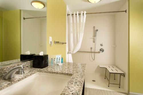 Suite Estudio King con sofá cama - Acceso para personas con discapacidad auditiva - No fumadores del hotel Hampton Inn and Suites Buffalo-Airport