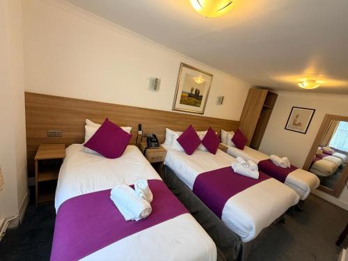 Habitación Cuádruple Deluxe del hotel Elysee Hydepark. Foto 5