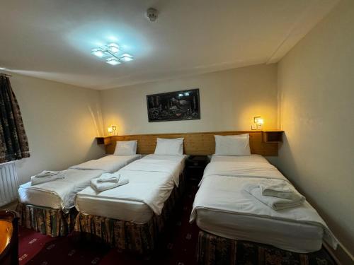 Habitación Triple con baño privado (3 camas individuales) del hotel Bridge Park. Foto 7