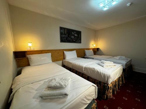 Habitación Triple con baño privado (3 camas individuales) del hotel Bridge Park. Foto 9