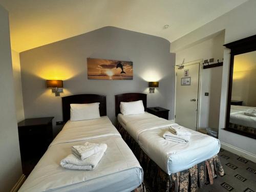 Habitación Twin con baño privado del hotel Bridge Park. Foto 1