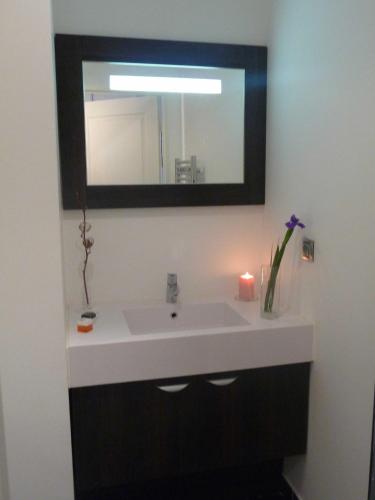 Estudio del hotel Lagrange Apart'hotel Lyon Lumière. Foto 4