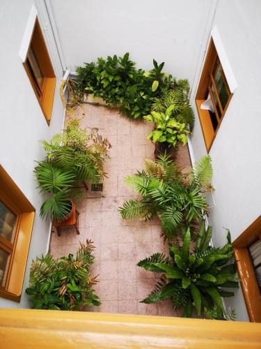 Apartamento básico con vistas al patio del hotel La Fuente. Foto 8