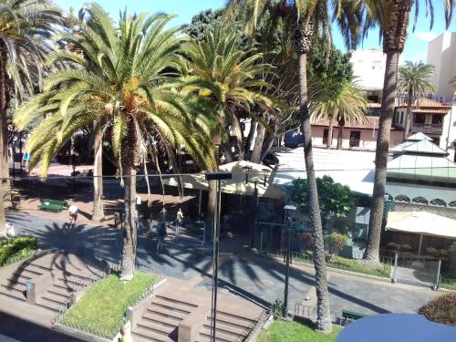 Habitación Doble con vistas del hotel Tropical. Foto 8