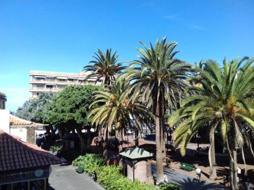 Habitación Individual Estándar del hotel Tropical. Foto 28