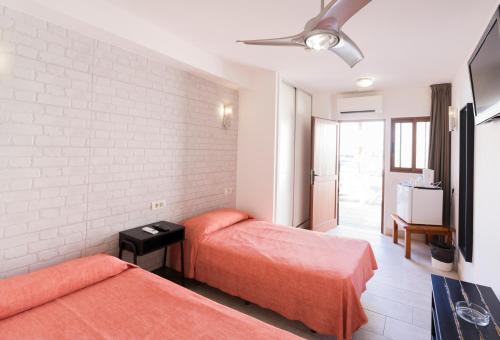 Habitación Doble con baño privado - 2 camas del hotel Tinerfe Garden. Foto 3