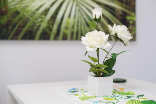 Apartamento con terraza del hotel Hércules. Foto 36