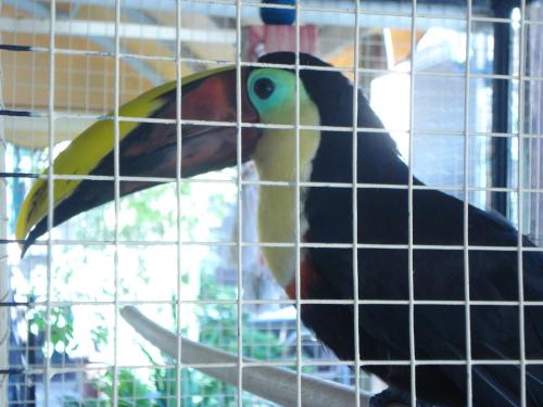 Apartamento del hotel Nicole Los Gigantes. Foto 18