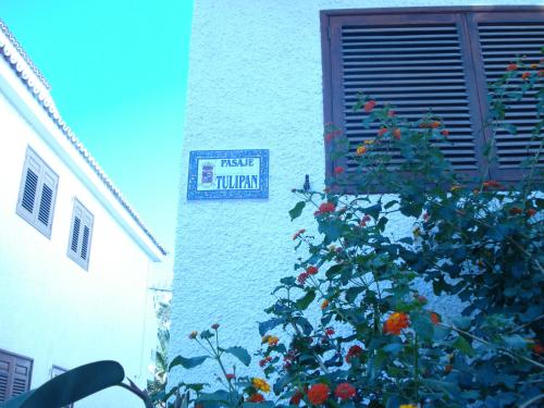 Apartamento del hotel Nicole Los Gigantes. Foto 58