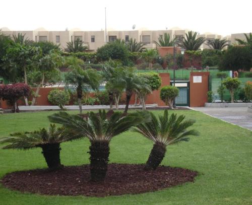 Apartamento de 1 dormitorio del hotel Sotavento III. Foto 36