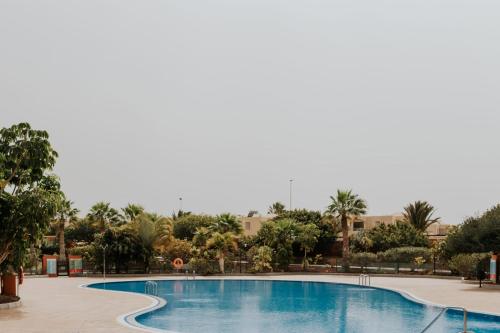 Apartamento de 1 dormitorio del hotel Sotavento III. Foto 41