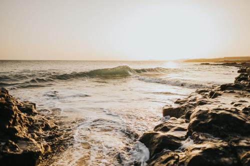 Apartamento de 1 dormitorio del hotel Sotavento III. Foto 57