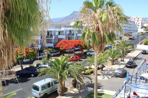 Apartamento 1 habitación 2 Camas individuales kitchenette Agradable del hotel Funchal. Foto 4