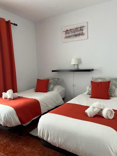Apartamento Con Cocina 1 habitación Sofá Cama incluido 2 Camas individuales del hotel FN Funchal Tenerife. Foto 7