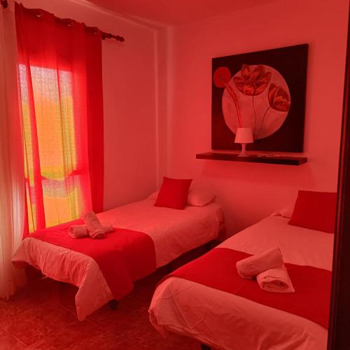 Apartamento Con Cocina 1 habitación Sofá Cama incluido 2 Camas individuales del hotel FN Funchal Tenerife. Foto 10