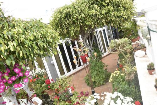 Litera en habitación compartida masculina del hotel Los Delfines. Foto 4