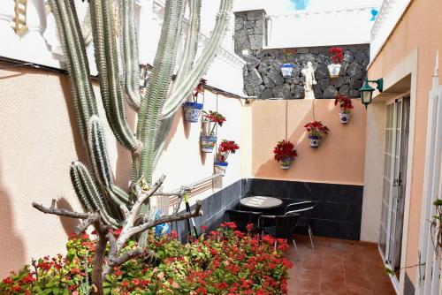 Apartamento de 1 dormitorio del hotel Los Delfines. Foto 1