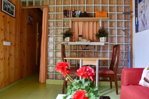 Apartamento de 1 dormitorio con vistas al jardín del hotel Los Delfines. Foto 1