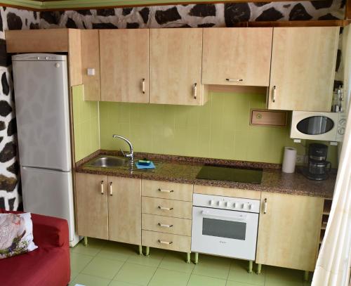 Apartamento de 1 dormitorio con vistas al jardín del hotel Los Delfines. Foto 5