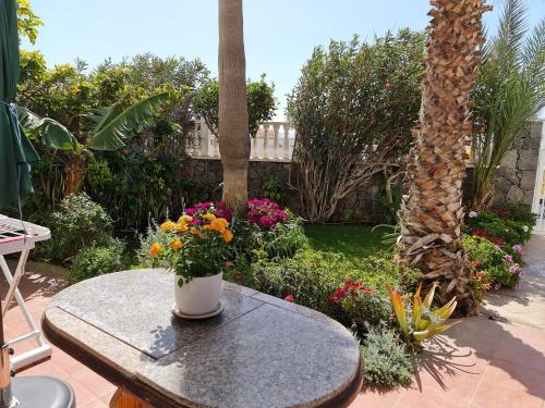 Apartamento Deluxe del hotel Los Delfines. Foto 10