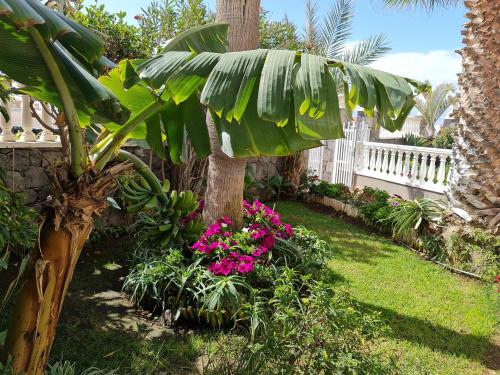 Apartamento Deluxe del hotel Los Delfines. Foto 11