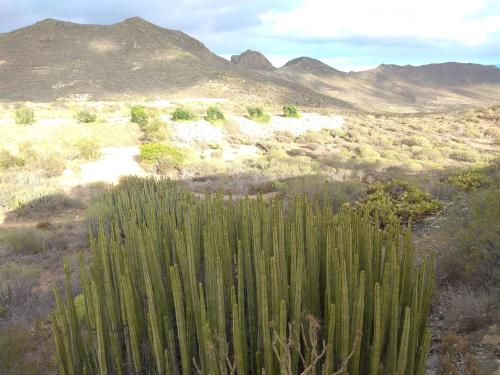 Habitación Triple con baño compartido del hotel El Cerro de la Luna. Foto 3