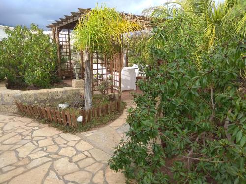 Estudio con terraza del hotel El Cerro de la Luna. Foto 36