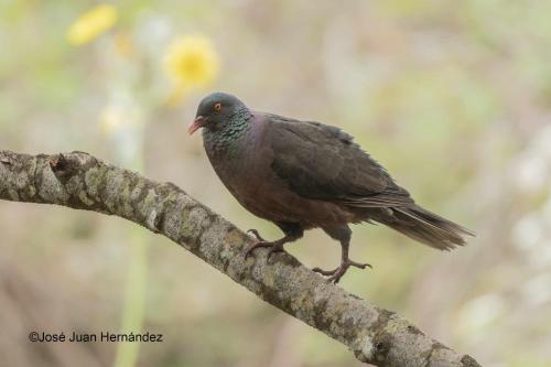 Casa con 1 dormitorio del hotel Casa Rural Monte del Agua