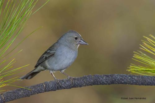 Casa con 1 dormitorio del hotel Casa Rural Monte del Agua. Foto 1