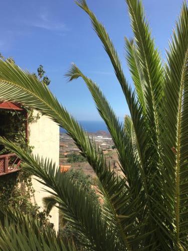 Habitación Doble Estándar del hotel Villa Ariadna. Foto 13