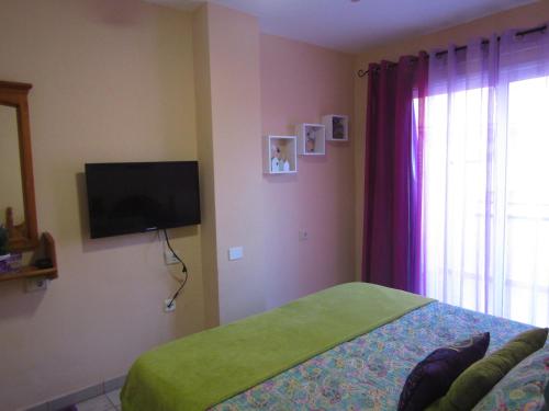 Apartamento de 1 dormitorio con sofá cama del hotel Jardín Marino. Foto 6