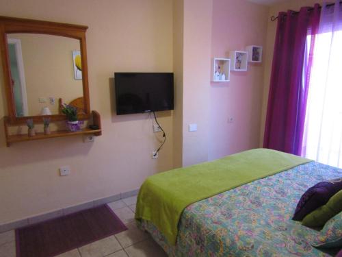 Apartamento de 1 dormitorio con sofá cama del hotel Jardín Marino. Foto 5