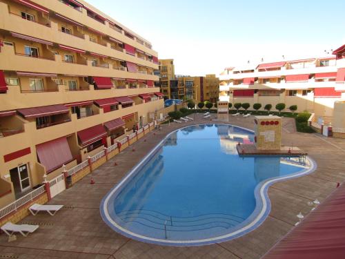 Apartamento de 1 dormitorio con sofá cama del hotel Jardín Marino. Foto 17