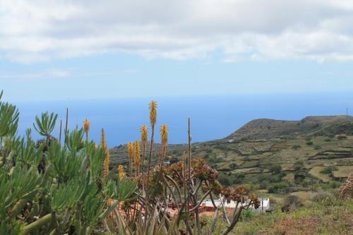 Cabaña del hotel Casa los Abuelos. Foto 60