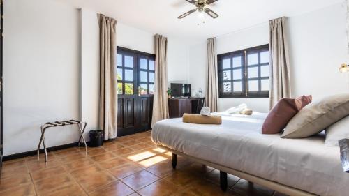 Habitación Doble con terraza del hotel Ecolife Tenerife. Foto 6