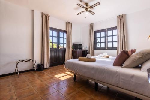 Habitación Doble con terraza del hotel Ecolife Tenerife. Foto 7