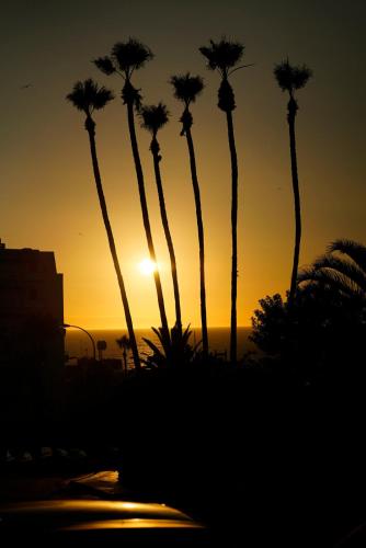 Apartamento Estudio con vistas al mar del hotel Comodoro. Foto 21