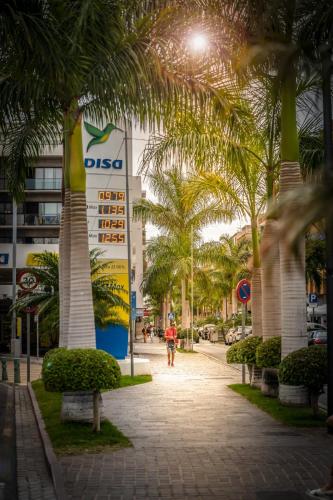 Apartamento Estudio con vistas al mar del hotel Comodoro. Foto 50