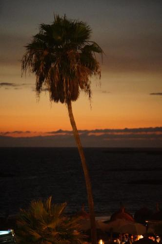 Apartamento Estudio con vistas al mar del hotel Comodoro. Foto 13