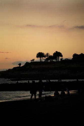 Apartamento Estudio con vistas al mar del hotel Comodoro. Foto 27
