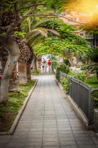 Apartamento Estudio con vistas al mar del hotel Comodoro. Foto 48