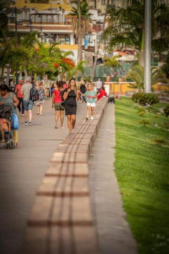 Apartamento Estudio con vistas al mar del hotel Comodoro. Foto 60