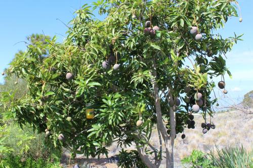 Bungalow del hotel Casa La Majada. Foto 18